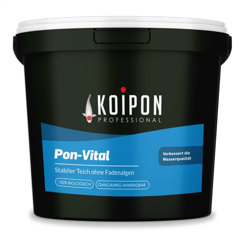 koitec24202607231423143094185
