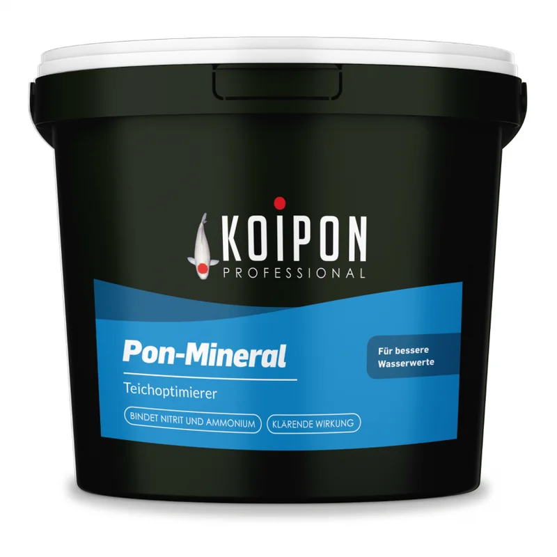 koitec24202607231429213094986