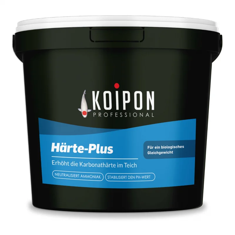 koitec24202607231435313095944