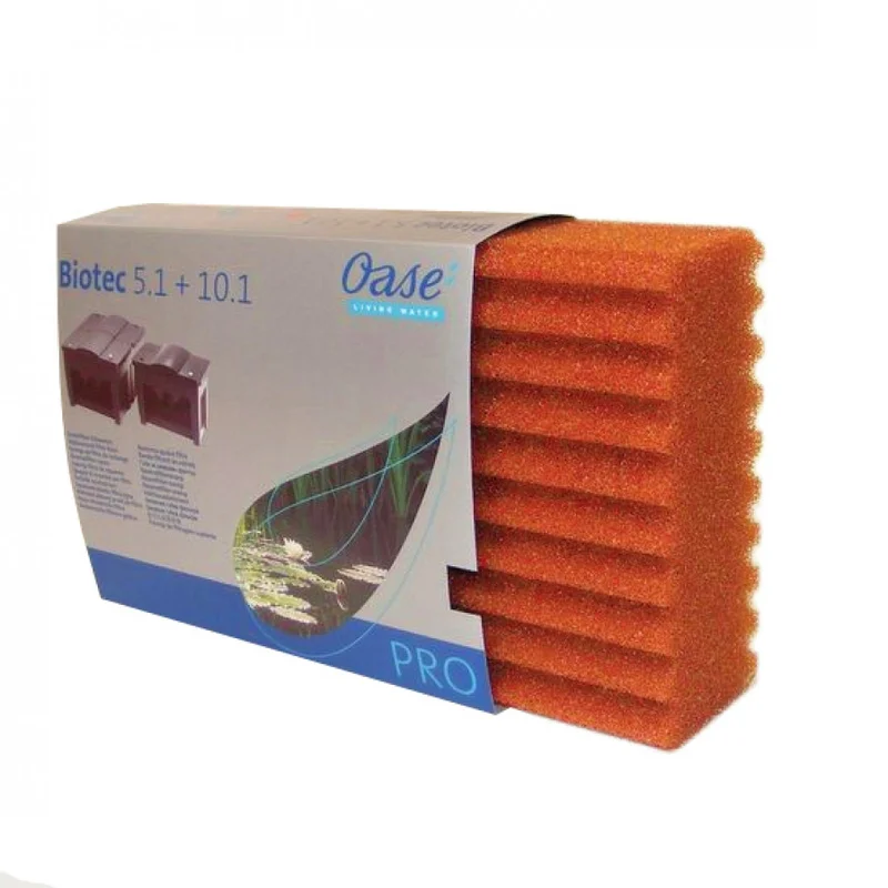 koitec24202607231509313098986