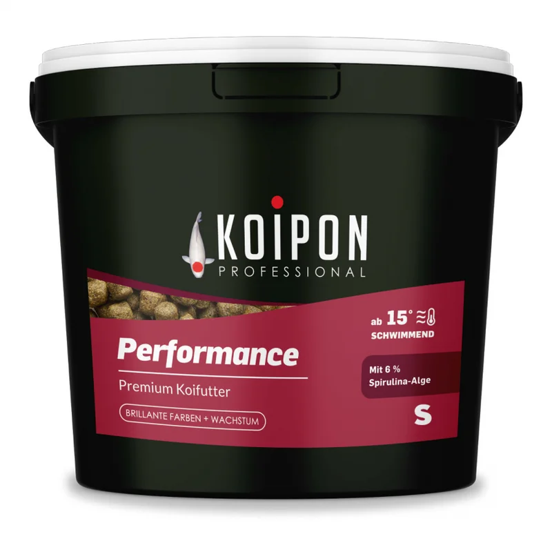 koitec24202607231518303099909