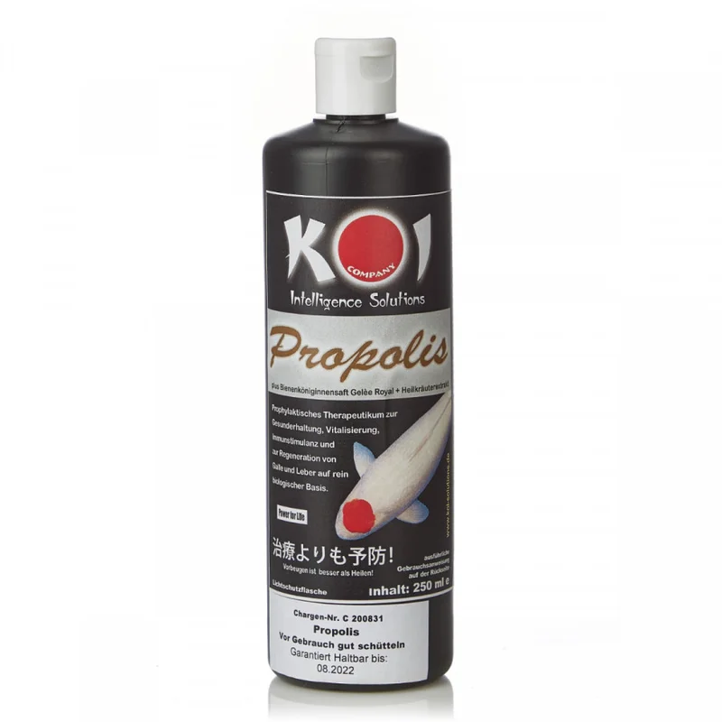koitec24202607231642313107366