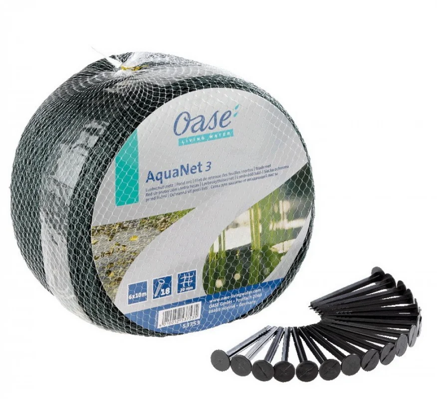 koitec24202607231654563108600