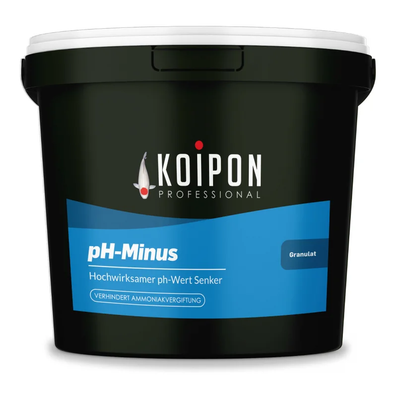 koitec24202607231656283108748