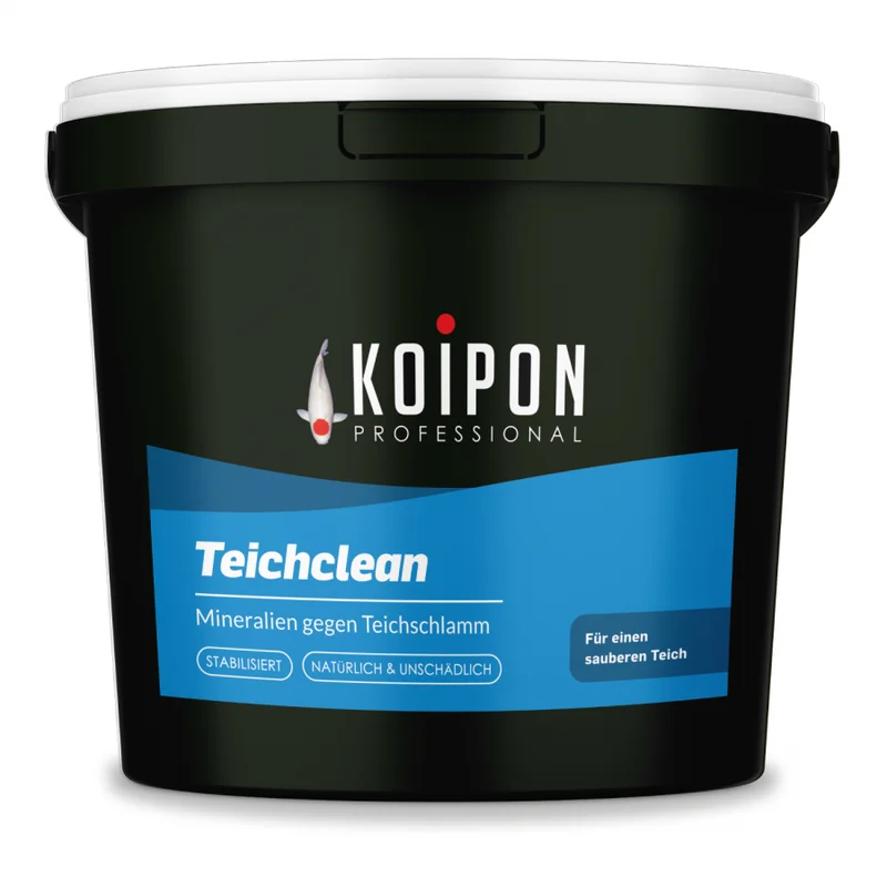 koitec24202607231705193109538