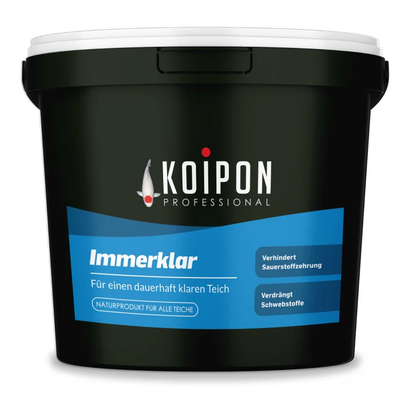 koitec24202607231705203109540