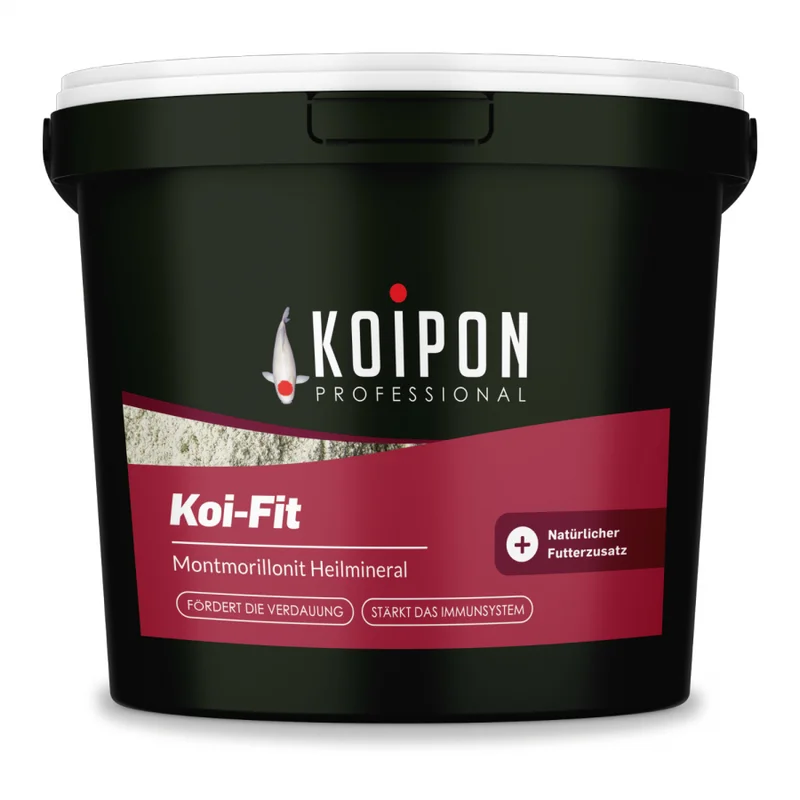 koitec24202607231706403109641