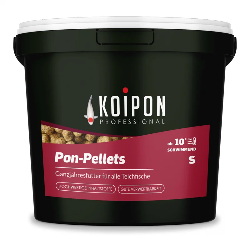 koitec24202607231708083109751