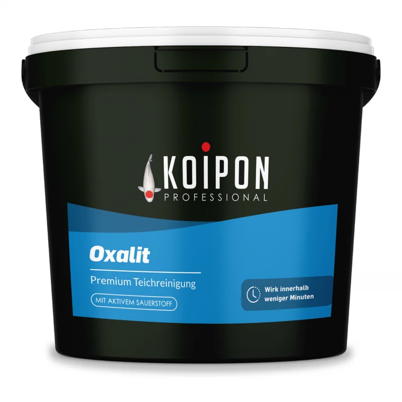 koitec24202607231709323109859