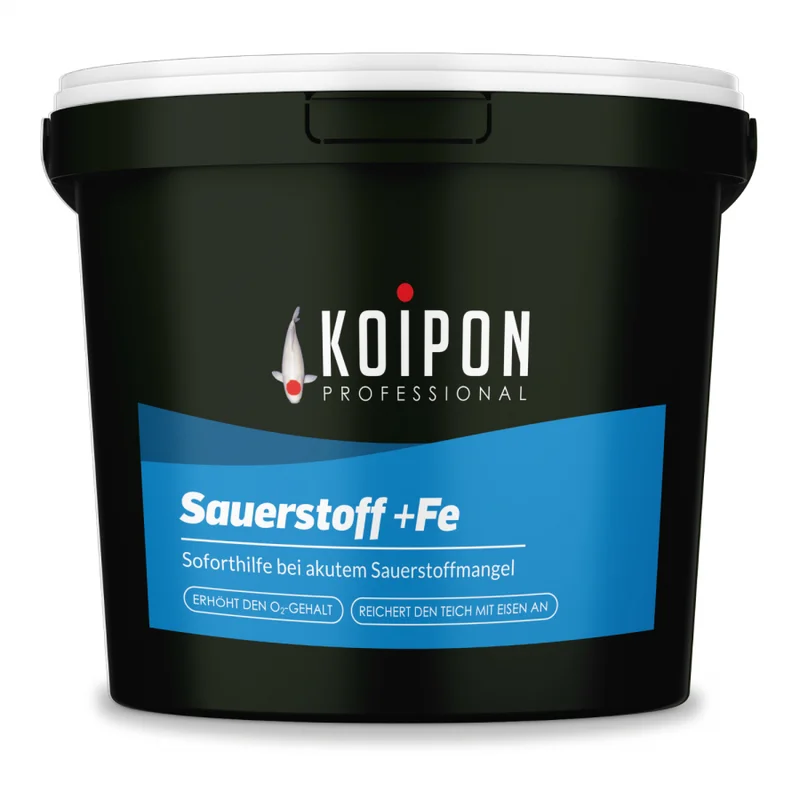 koitec24202607231804063114951
