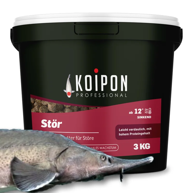 koitec24202607231807563115298