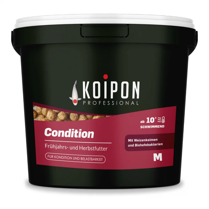 koitec24202607231820413116397