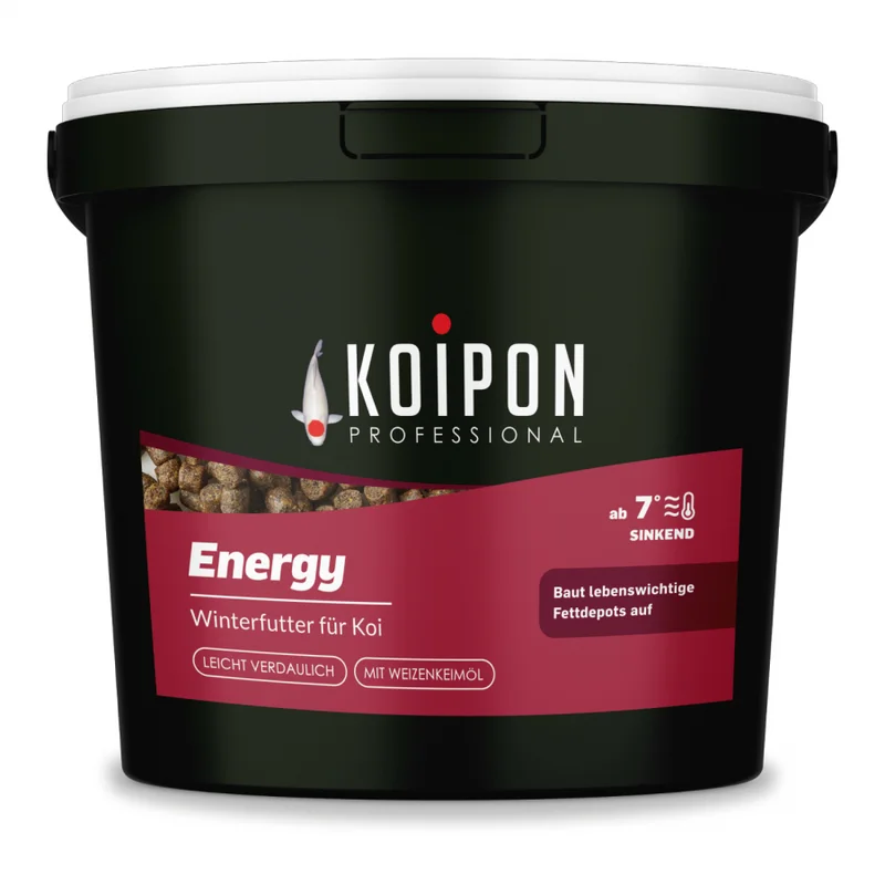 koitec24202607231820423116399