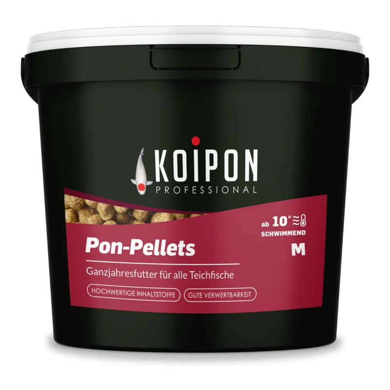 koitec24202607231821483116498