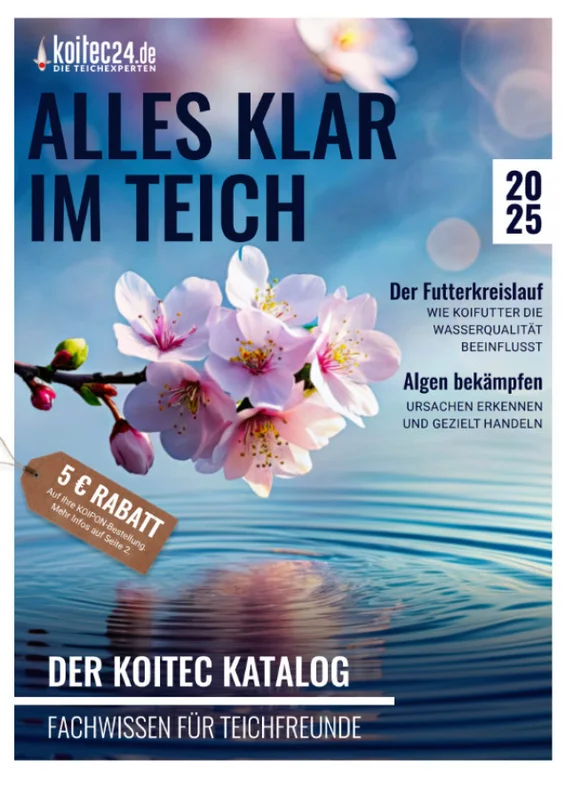 koitec24202607231848153118610