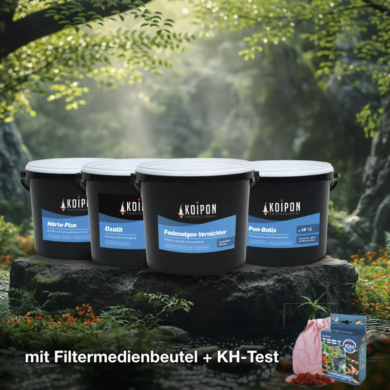 koitec24202607231848493118651