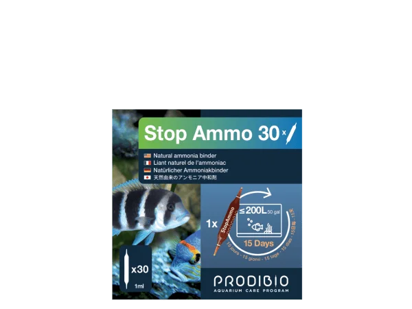 recifathome202607232011083124792