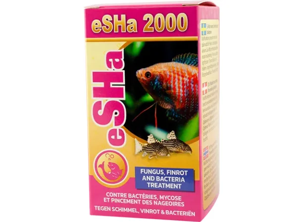 recifathome202607232017383125371