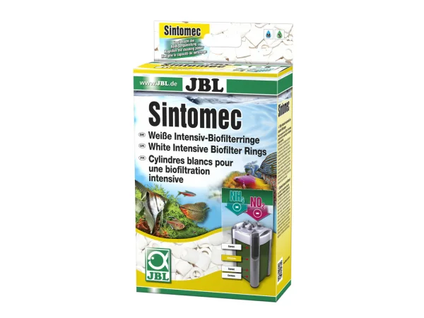 recifathome202607232032143126494