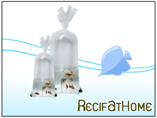 recifathome202607232050403127864