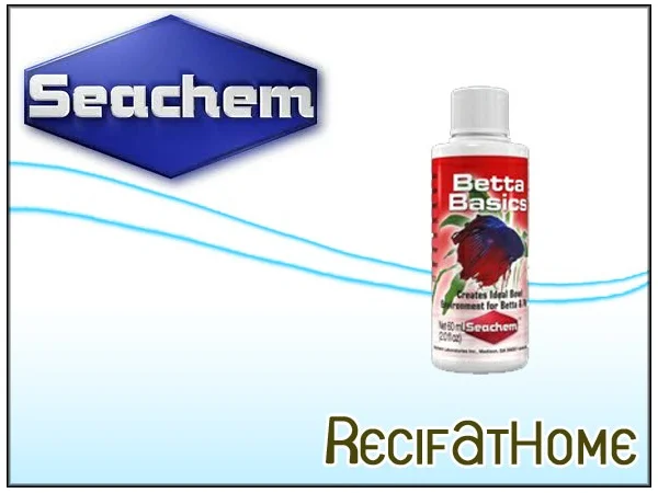 recifathome202607232055153128199