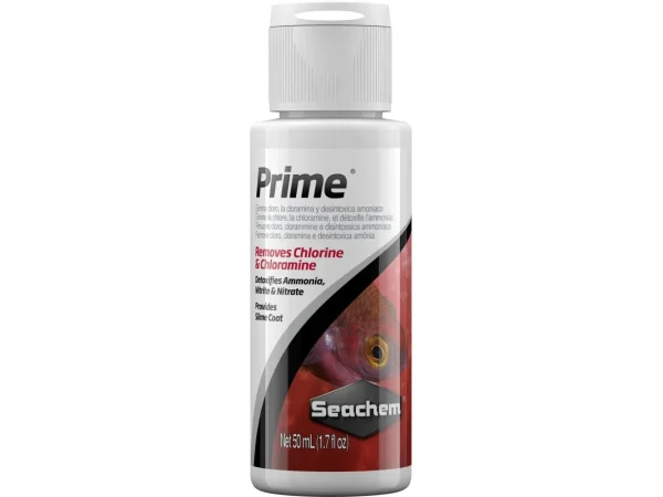 recifathome202607232055163128204