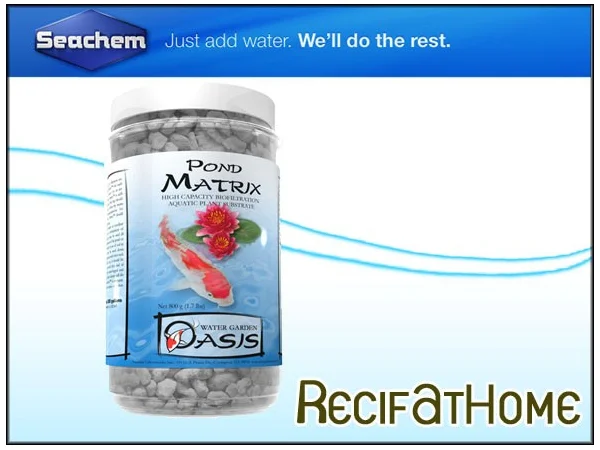recifathome202607232100223128639