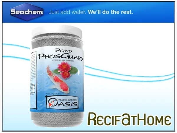 recifathome202607232100343128657