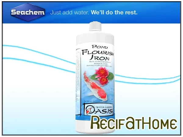recifathome202607232100463128673