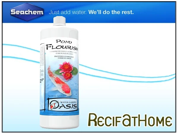recifathome202607232100533128683