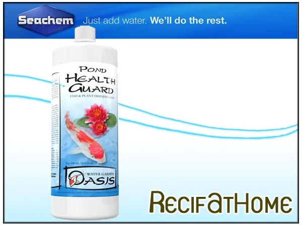 recifathome202607232100593128694