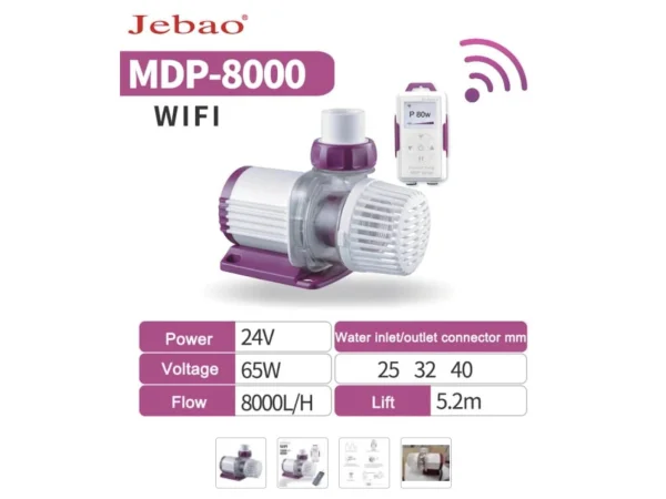 recifathome202607232341563141139