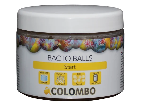recifathome202607240003113142926