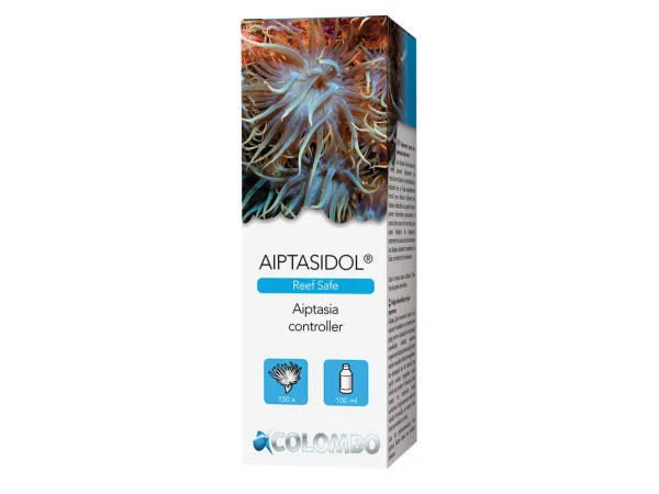 recifathome202607240008543143360