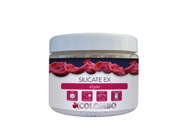 recifathome202607240010433143523