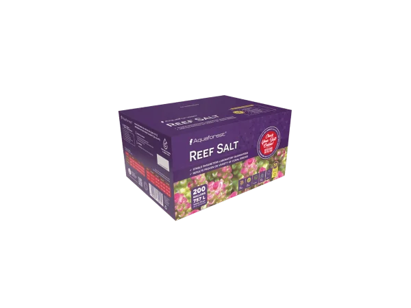 recifathome202607240026563144913