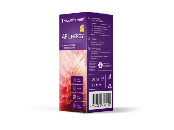 recifathome202607240032423145406