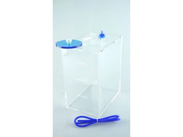 recifathome202607240103123147999
