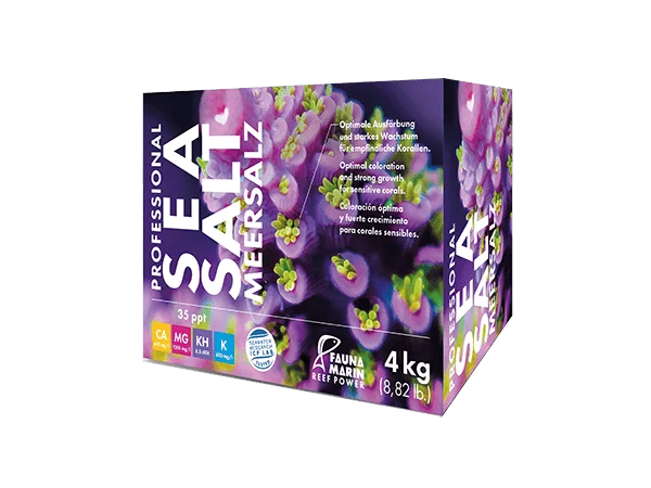 recifathome202607240103573148064