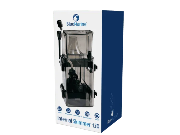 recifathome202607240154003152825