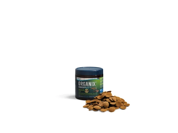 recifathome202607240246573157727
