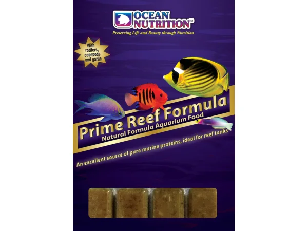recifathome202607240316453160451