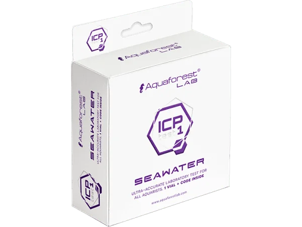 recifathome202607240327463161522