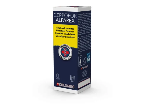 recifathome202607240335233162269