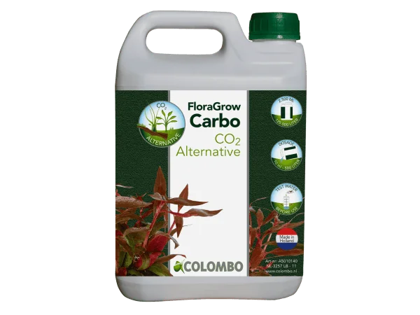 recifathome202607240341233162888