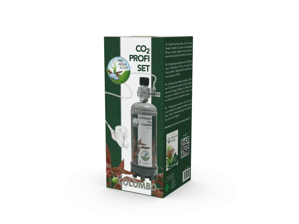 recifathome202607240341523162947