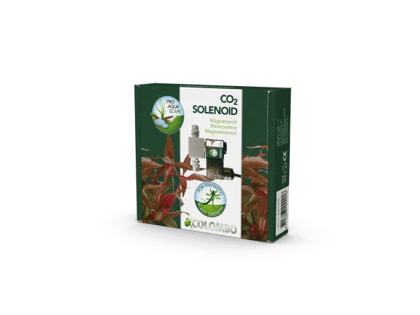 recifathome202607240342203162997