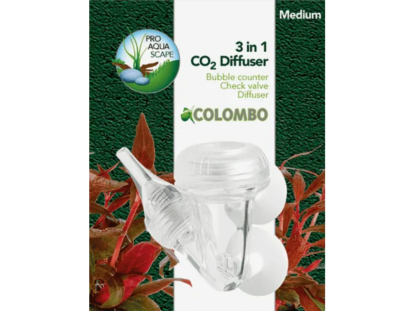 recifathome202607240342323163015