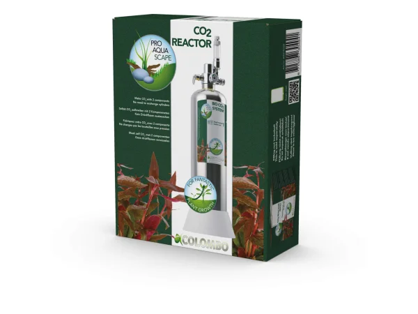 recifathome202607240343503163142