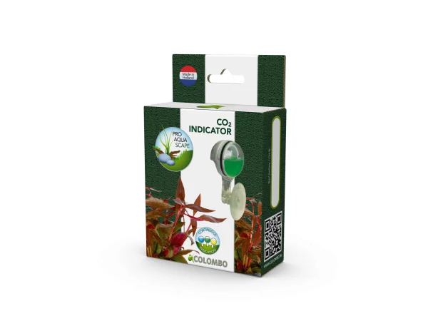 recifathome202607240344063163165